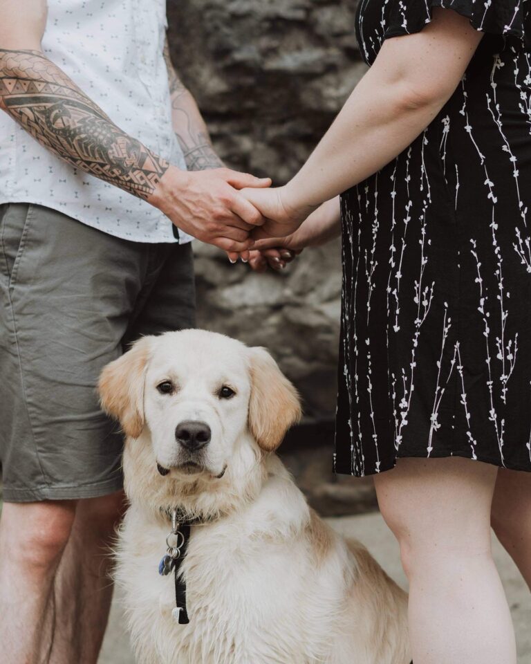 The Ultimate Guide to Including Your Dog in Your Session
